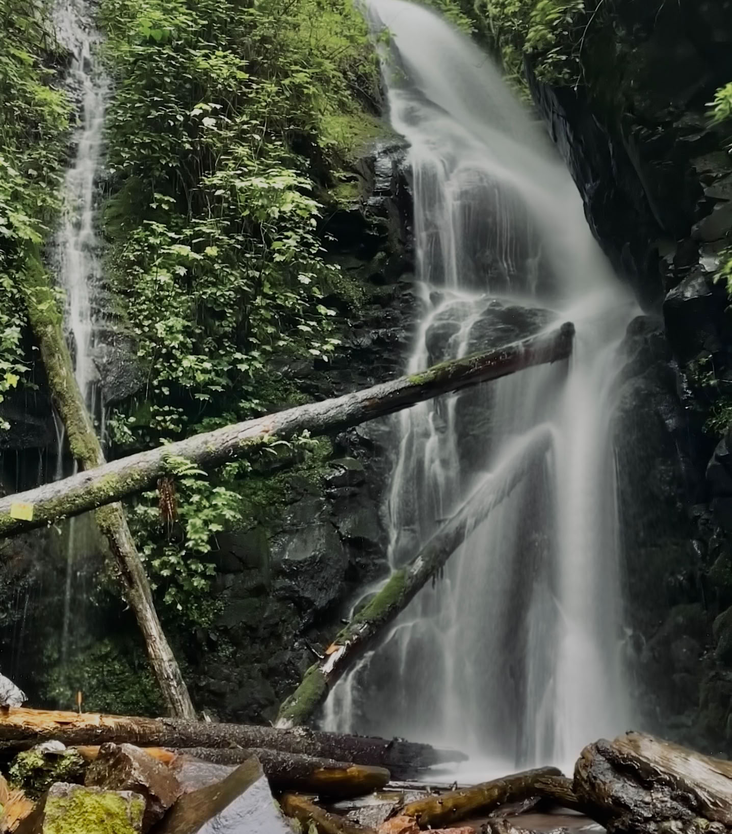 A beautiful waterfall cascades through a vibrant green forest, showcasing nature's serene beauty.